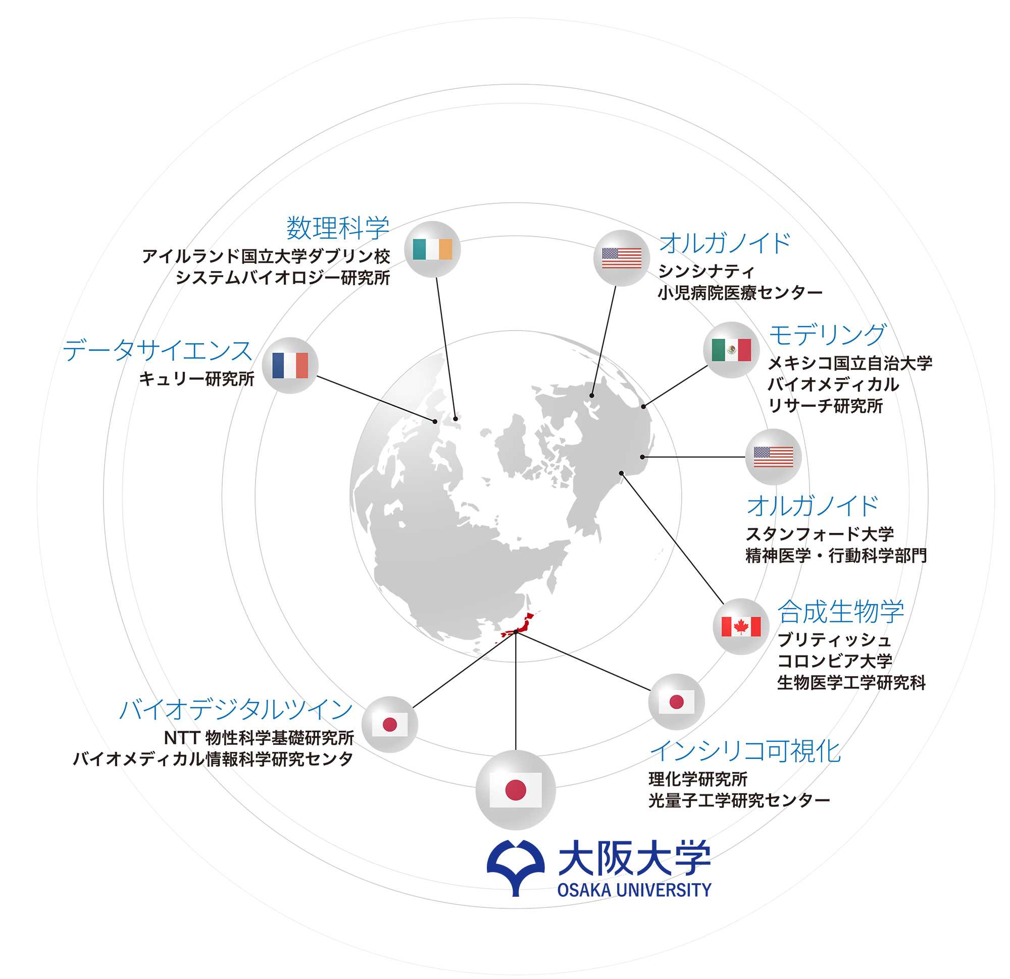 国内外の研究機関・大学と連携して研究を進めます。拠点のサテライトを、ブリティッシュコロンビア大学、メキシコ国立自治大学、理化学研究所光量子工学研究センター、NTT物性科学基礎研究所バイオメディカル情報科学研究センタに設置します。また、シンシナティ小児病院医療センター、スタンフォード大学、アイルランド国立大学ダブリン校システムバイオロジー研究所、キュリー研究所の4つの海外研究機関と連携して、ヒューマン・メタバース疾患学研究を国際的に展開します。