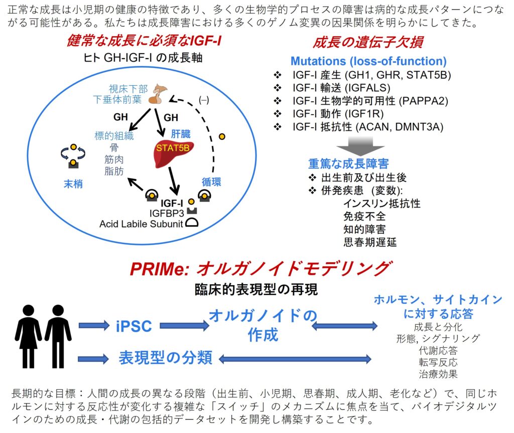 PRIMe Dr Hwa