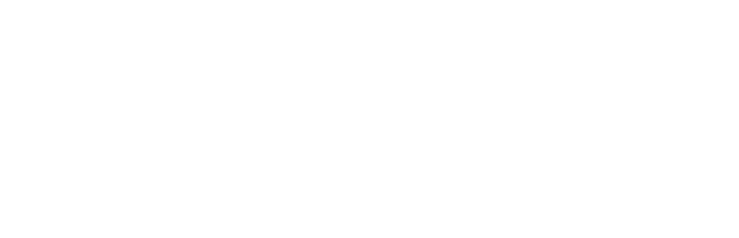 WPI