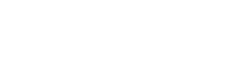 WPI logo